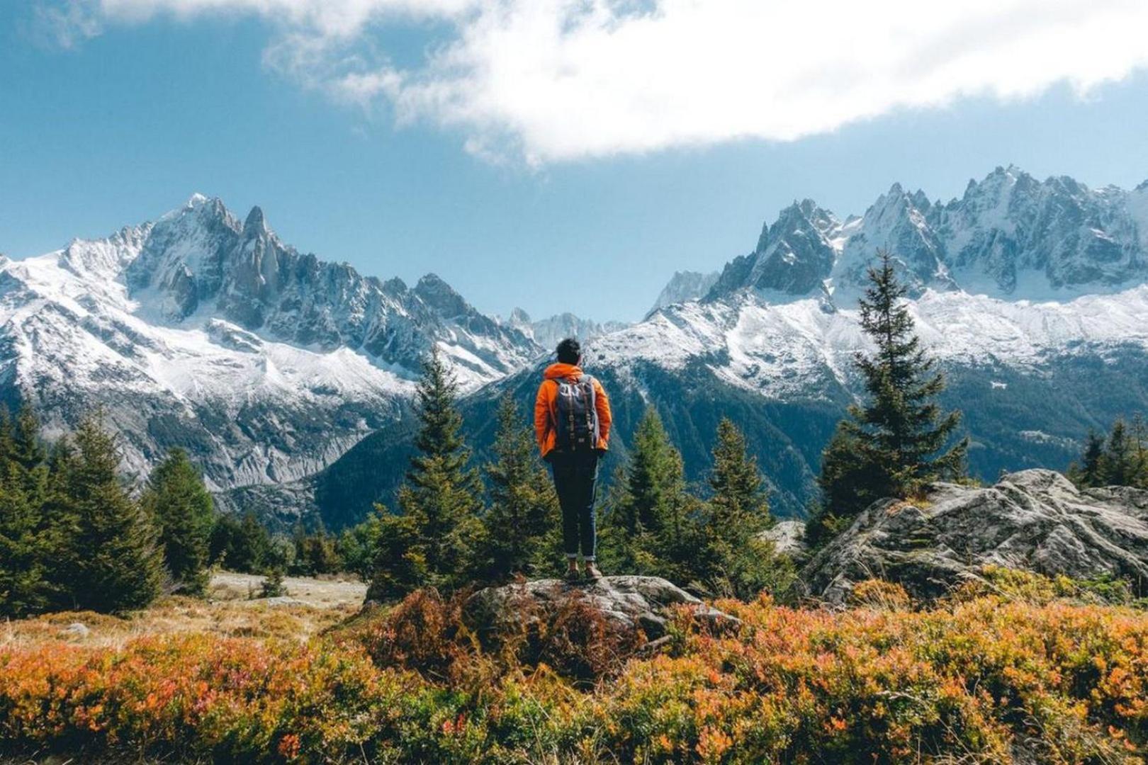Majestic 1 - Haven Mont Blanc Appartamento Chamonix